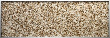 Glaszone Element Live 40 iris dark brown